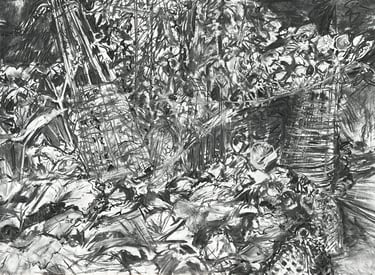Veg bed study in charcoal