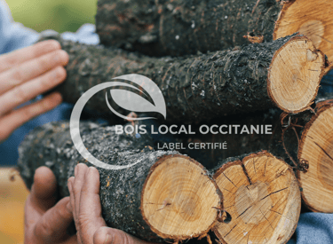un homme tenant un tas de bûches dans ses mains