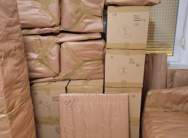 Profesionalno pakiranje robe od strane Dalmatica Mobility Group