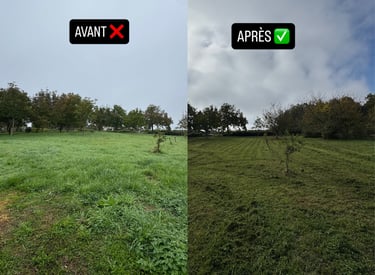 entretien espace vert a cognac, saintes, angouleme