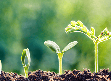 Sampada Nusantara commitment to green growth and protecting Indonesia’s nature