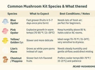 chart showing different mushroom species you find in common grow kits