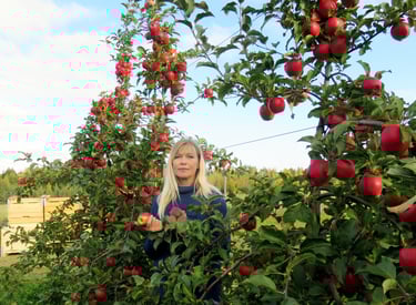 Ille Kasvand.Aianõunik. Tüvekeskne õunapuude lõikusviis. Suured kvaliteetsed viljad, mugav ja kiire korjamisviis.