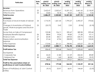 income statement_irm energy ipo analysis_the moat investor
