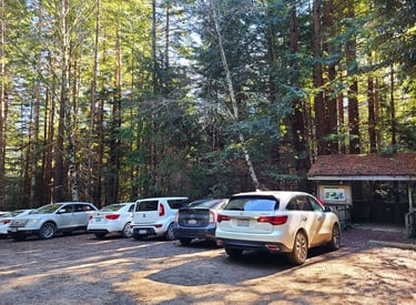 redwood national park, tall trees trail; a group of cars parked in a parking lot