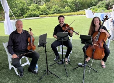 asheville wedding violinist playing outdoor ceremony at the golf course