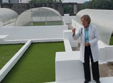 azolla testing by scientist from United Kingdom animall feed industry