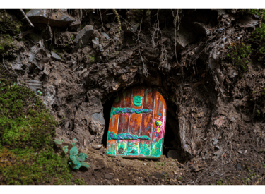 Fairy Door in a tree trunk