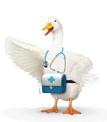 Aflac Accident Plan