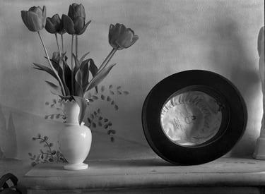 Chapeu Melon et Tulipes rouges. Prise de vue Appareil de photo 4x5 inches. Négatif Tri-X Diamino...