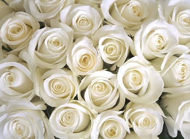 Servicio de flores. Arreglos florales a medida para funerales.