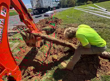 worker taking out wooden log