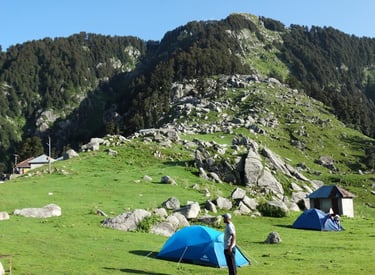 Trekkers scaling the lush trails of the Himalayas.