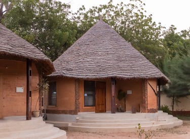 Boat excursions and birdlife at Tendaba Camp Gambia