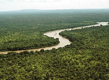 Niokolo-Koba National Park landscape with Gambia River and gallery forest