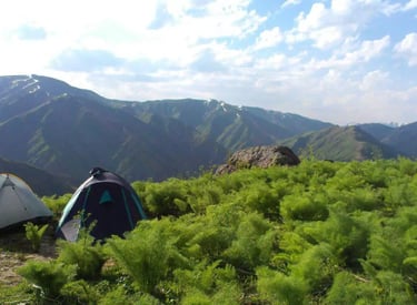 Chimgan Spring Camping Tashkent Uzbekistan