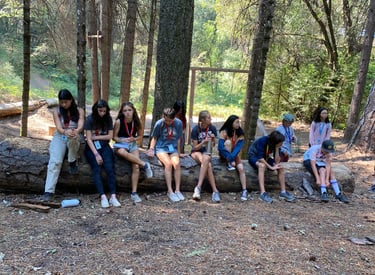 a group of campers sitting on a log having fun