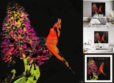 Digital artistic interpretation of a Butterfly on a Buddleia flower on canvas and art prints.  