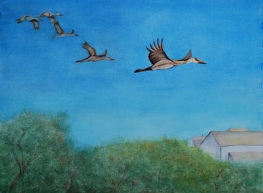 Watercolor - Wildlife WC201018