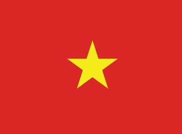 vn