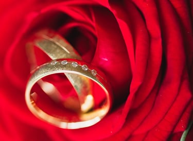 Hochzeitsringe als Detail Fotoshooting von Hochzeitsfotograf fotografiert wurden in Dillingen 
