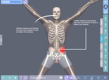 Ipad Medical App