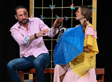 komedija IŠČEM TIPA ZA SVOJO ŽENO