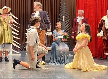 komedija TA VESELI DAN ALI MATIČEK SE ŽENI