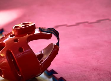 Tatame EVA lutas jiu jitsu muay thai arte marcial mma impactos protege