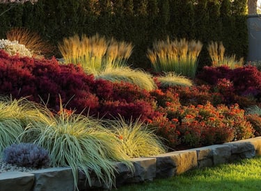 Designed FLower bed
