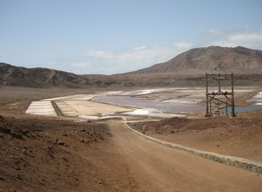 salinas