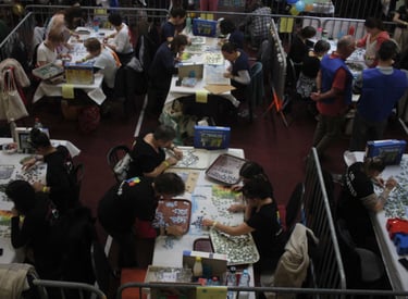 24H Puzzle de France