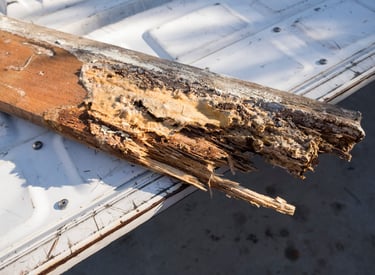 roof water damage
