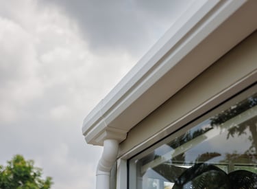 gutter cleaning