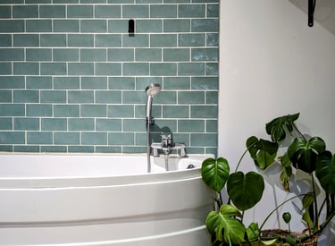 Une baignoire et une plante verte