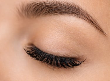 Close-up of a woman's eye with professional eyelash extensions and shaped brown eyebrows.