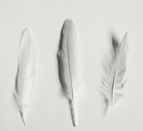 shuttlecock murah berkualitas tahan lama