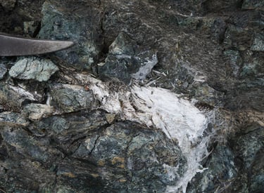 Serpentinites à veines de trémolite-amiante. ©C.Coutin, Luggo-di-Nazza, Haute-Corse