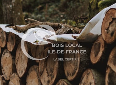 une pile de bûches avec un drap blanc dessus
