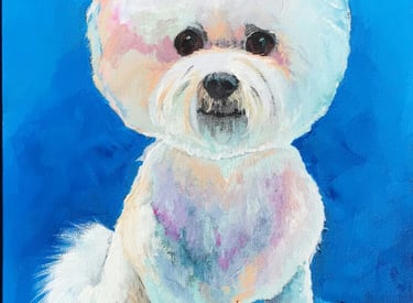 portrait of a white bichon-frise dog against a blue backdrop