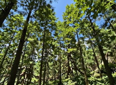 A person is sitting cross-legged on a yoga mat, holding a purple container with a white lid in their hands. A dropper bottle and a smartphone are placed next to them on the mat.