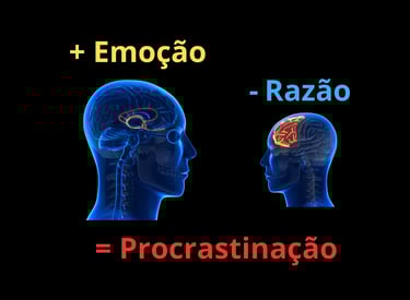 Por que procrastinamos? o conflito entre o córtex pré-frontal e o sistema límbico - neurociência