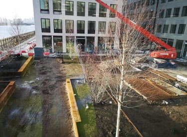 Building under construction with cranes