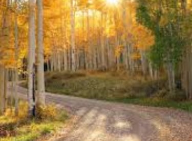 Nature A serene landscape featuring a sunrise over a calm lake, symbolizing new beginnings and healt