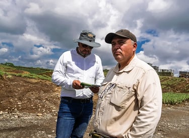 Dos hombres agrónomos parados de forma profesional en un campo de piñas en Ecuador