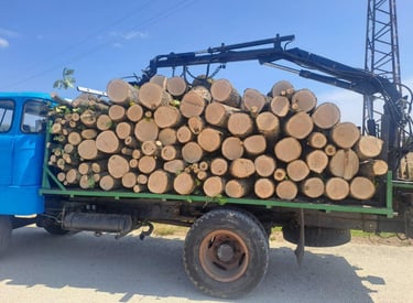 Метрови дърва за огрев Варна