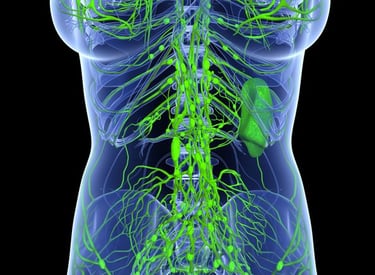 dds dynamische-druckwellen Divinia Eclibs Slim Mun-ik München