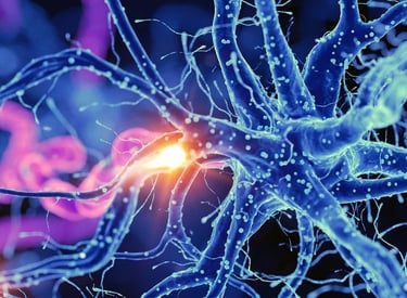 gesteigerter Fettstoffwechsel biosequentiell Stimulation Divinia Eclibs slim Mun-ik München