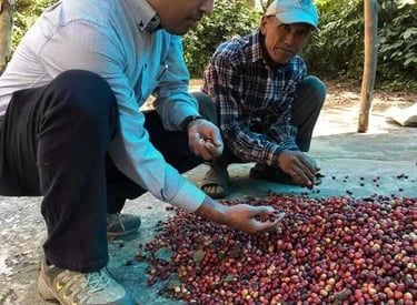 two men standing in front of a pile of coffee beans