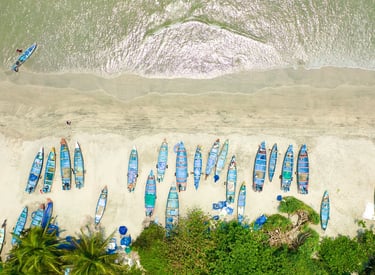 Aerial view of colorful fishing boats lined along the sandy shore of Kerala's drive-in beach, surrounded by lush greenery